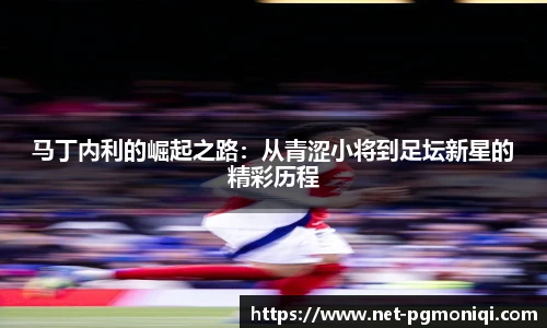 马丁内利的崛起之路：从青涩小将到足坛新星的精彩历程