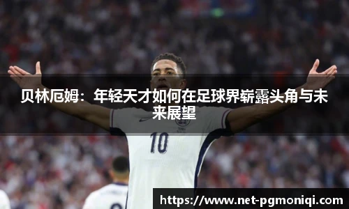 PG模拟器