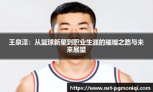 PG模拟器