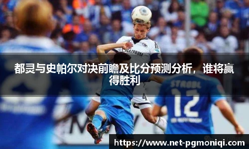 PG模拟器